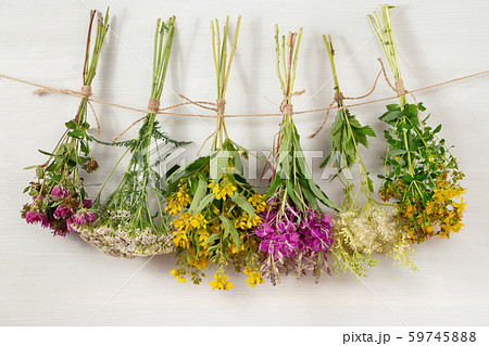 Bundles of medicinal herbs dried near a white wooden wall, alternative medicine and herbal treatment 59745888