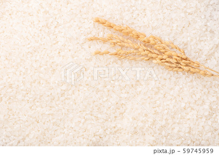 ごはん イネ 米 59745959