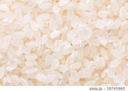 ごはん イネ 米 59745960