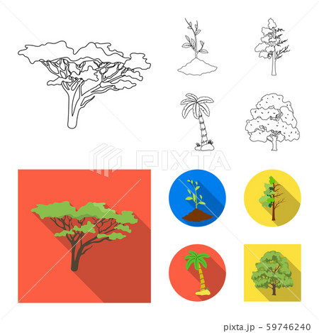 Vector illustration of tree and forest sign. Set of tree and green stock symbol for web. 59746240