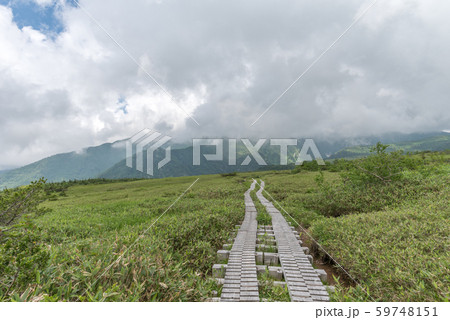 弥陀ヶ原湿原 弥陀ヶ原湿原 59748151
