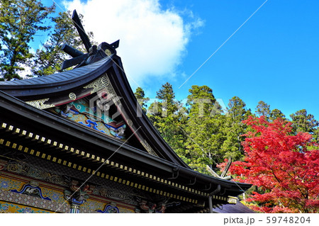 秋の妙義神社 秋の妙義神社 59748204