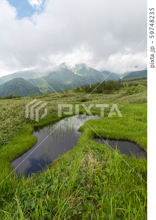 弥陀ヶ原湿原 59748235