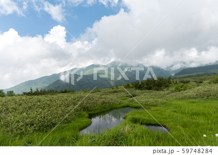 弥陀ヶ原湿原 弥陀ヶ原湿原 59748284