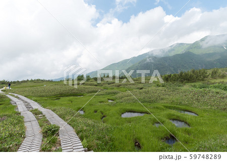 弥陀ヶ原湿原 弥陀ヶ原湿原 59748289