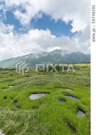 弥陀ヶ原湿原 弥陀ヶ原湿原 59748292