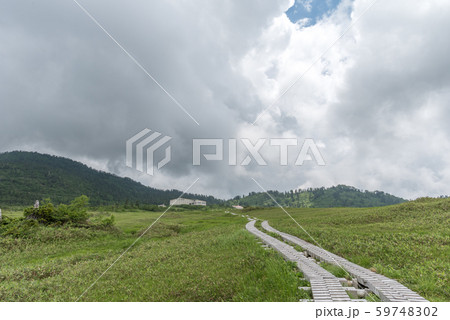 弥陀ヶ原湿原 弥陀ヶ原湿原 59748302