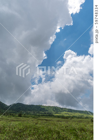 弥陀ヶ原湿原 弥陀ヶ原湿原 59748334