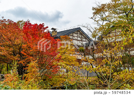 紅葉の「ひろしま県民の森」(2019年11月) 紅葉の「ひろしま県民の森」(2019年11月) 59748534