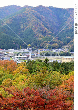 最上山公園（もみじ山） 59748587