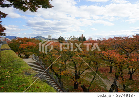 盛岡城跡公園の秋 59749137