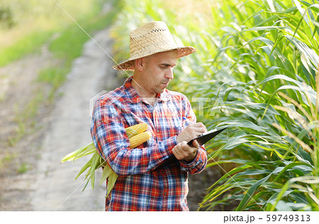 Farmer in straw hat with clipboard inspecting corn 59749313