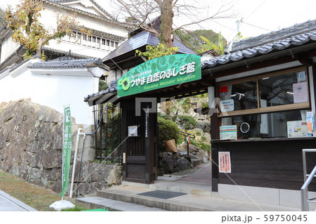 岡山県津山市にある「つやま自然のふしぎ館」 59750045