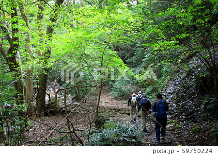 佐賀　黒髪山　竜門峡登山口から山頂(天童岩）への登山コースの景観 59750224