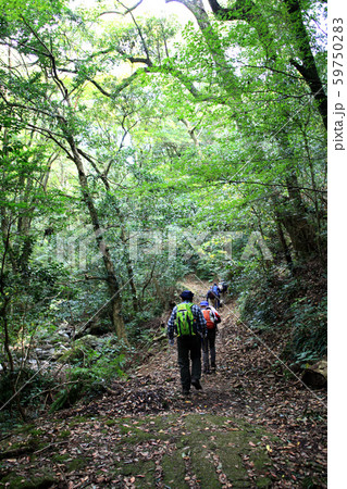 佐賀　黒髪山　竜門峡登山口から山頂(天童岩）への登山コースの景観 59750283