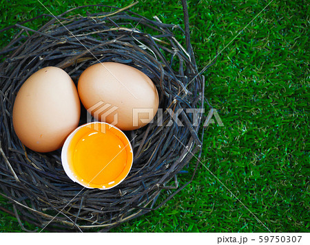 Eggs in a nest on grass 59750307