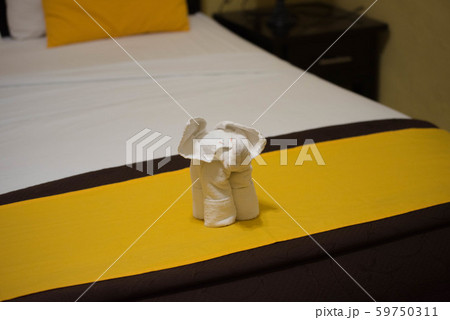 リゾートホスピタリティ 59750311