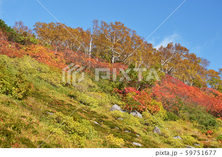 銀泉台の紅葉(北海道・上川町・大雪山系) 銀泉台の紅葉(北海道・上川町・大雪山系) 59751677