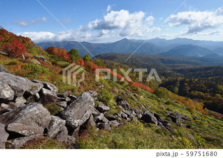 銀泉台の紅葉（北海道・上川町・大雪山系） 59751680