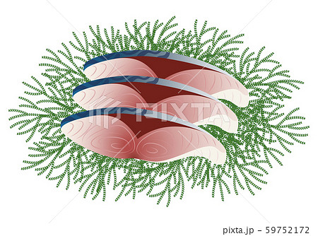鯖の切り身 盛り合わせ イラスト 59752172