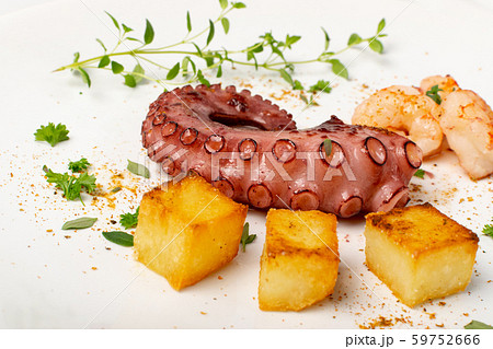 Grilled octopus on white restaurant plate served Grilled octopus on white restaurant plate served 59752666