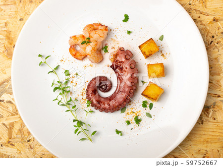 Grilled octopus on white restaurant plate served Grilled octopus on white restaurant plate served 59752667