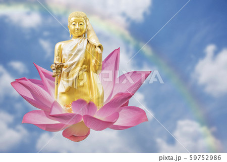 Buddha and lotus flower Buddha and lotus flower 59752986