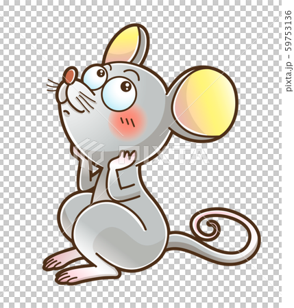 2020 The dream mouse 2020 The dream mouse 59753136