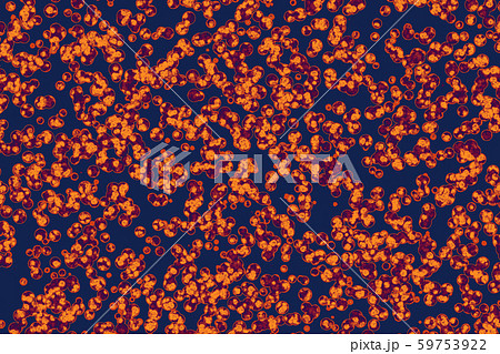 Shape of bacterial cell Shape of bacterial cell 59753922