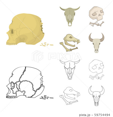 Vector illustration of skeleton and character sign. Collection of skeleton and halloween vector icon 59754494