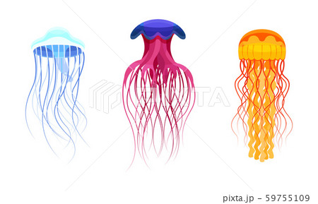 Set of colorful jellyfish. Vector illustration on a white background. Set of colorful jellyfish. Vector illustration on a white background. 59755109