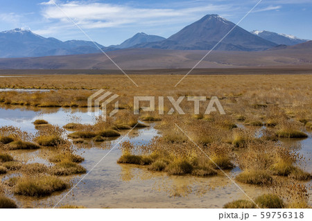 Mount Licancabur Volcano - Atacama Desert - Chile Mount Licancabur Volcano - Atacama Desert - Chile 59756318