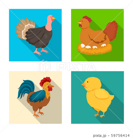 Vector design of breeding and kitchen logo. Collection of breeding and organic stock vector 59756414