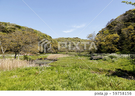 春の湿原 春の湿原 59758156