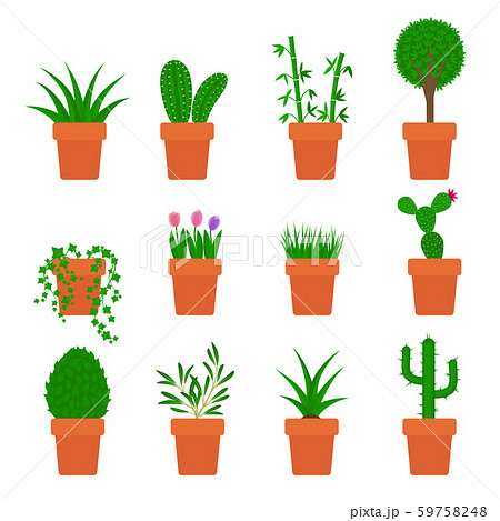 vector set of plants in pots 59758248