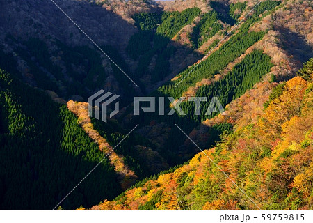 なめご谷の紅葉 なめご谷の紅葉 59759815