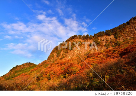 屏風岩公苑の紅葉 59759820