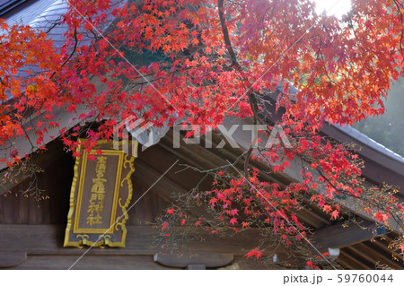 竈門神社　紅葉 59760044