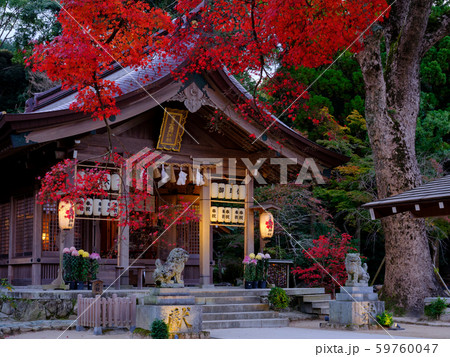 竈門神社 紅葉の写真素材