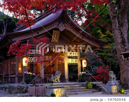 竈門神社　紅葉 59760048