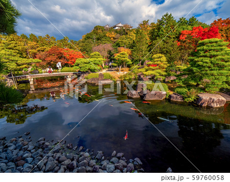 日本の美しい庭　姫路城西御屋敷跡庭園　好古園の紅葉　 姫路公園　姫路城にある日本庭園　庭木　盆栽 59760058