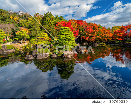 日本の美しい庭　姫路城西御屋敷跡庭園　好古園の紅葉　 姫路公園　姫路城にある日本庭園　庭木　盆栽 59760059