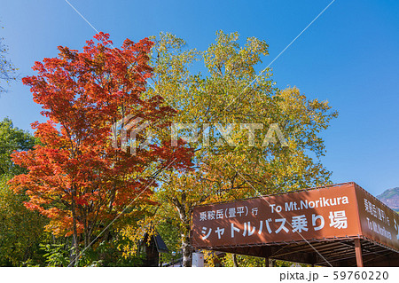 乗鞍岳(畳平)行きシャトルバス乗り場:乗鞍観光センター 松本市安曇 乗鞍岳(畳平)行きシャトルバス乗り場:乗鞍観光センター 松本市安曇 59760220