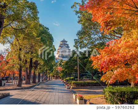 紅葉と姫路城 59760262