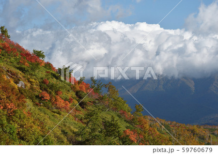 銀泉台の紅葉(北海道・上川町・大雪山系) 銀泉台の紅葉(北海道・上川町・大雪山系) 59760679