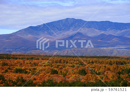 11月 北軽井沢32浅間山山麓の紅葉・四阿山と浅間牧場 11月 北軽井沢32浅間山山麓の紅葉・四阿山と浅間牧場 59761521