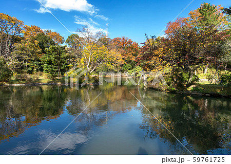 東京都港区南麻布の有栖川公園の紅葉 59761725