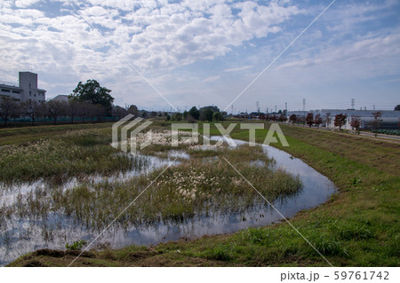渋沢栄一記念館付近景観 青淵公園 深谷市 渋沢栄一記念館付近景観 青淵公園 深谷市 59761742