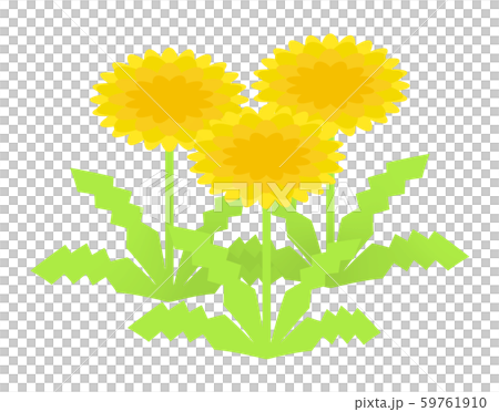  Dandelion 59761910
