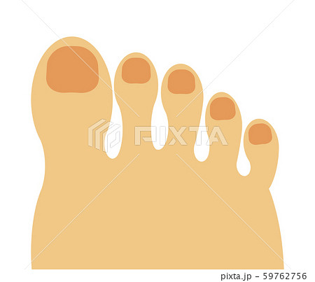 足の指のイラスト素材